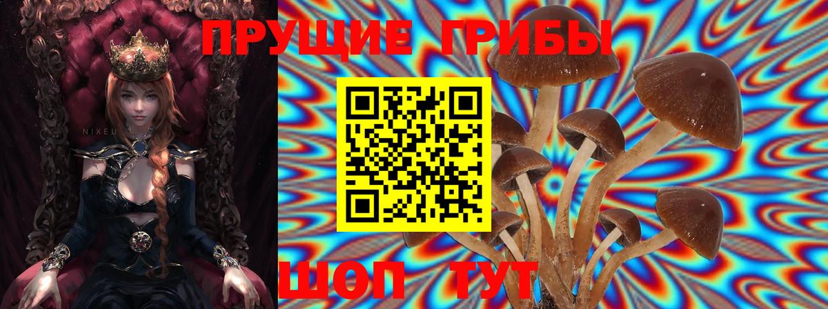 Галлюциногенные грибы Magic Shrooms  Вход с VPN  Галлюциногенные грибы Psilocybe  Ставрополь 